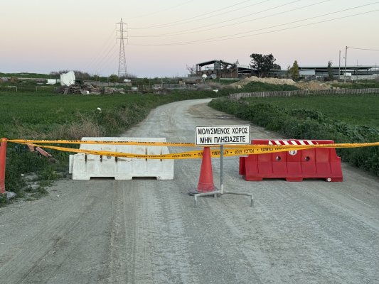 Kıbrıs'ta şap hastalığı 50 çiftliğe yayıldı