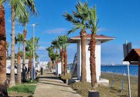 Kıbrıs İş Dünyası: Haftanın Özeti