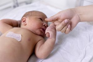 Kuzey Kıbrıs, sperm karışıklığı iddiaları üzerine tüp bebek kliniğinde soruşturma başlattı