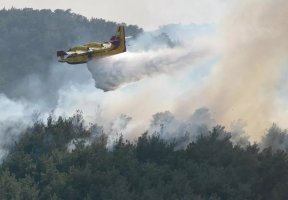 Kıbrıs Cumhuriyeti 2026 yangın sezonu için hava filosunu rekor seviyeye çıkardı