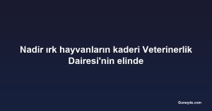 Nadir ırk hayvanların kaderi Veterinerlik Dairesi'nin elinde