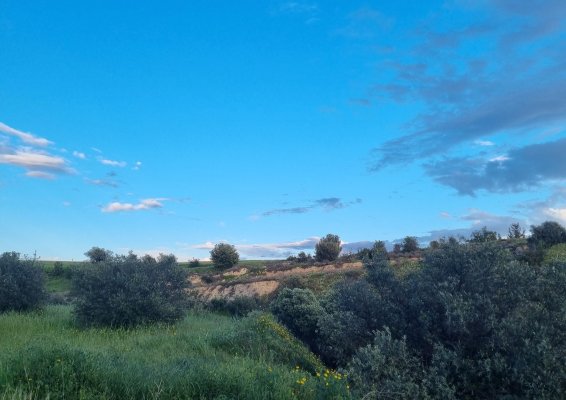 Hafta başında ılık hava, öğleden sonra parçalı bulutlu