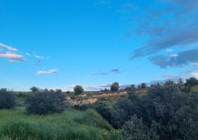 Hafta başında ılık hava, öğleden sonra parçalı bulutlu
