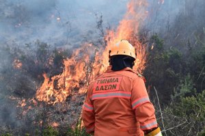 AB, Nisan Zirvesi Sırasında Kıbrıs'ta Yeni Orman Yangını Müdahale Merkezi Açacak