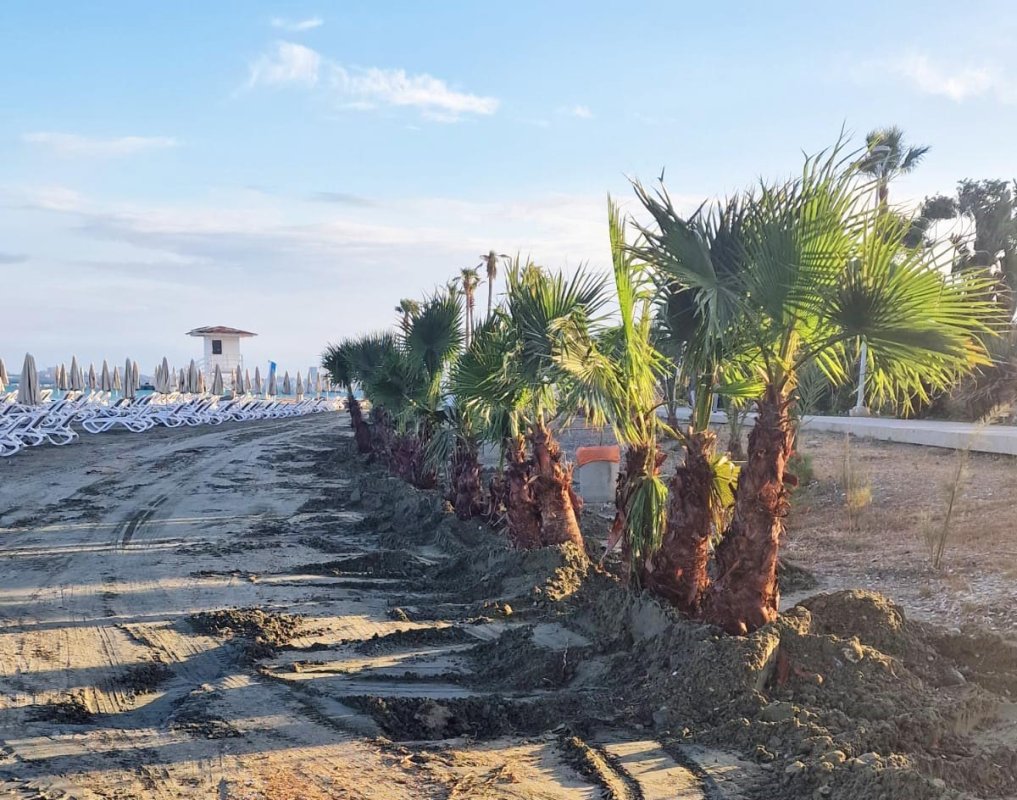 Oroklini sahil şeridi giderek artan erozyonla karşı karşıya