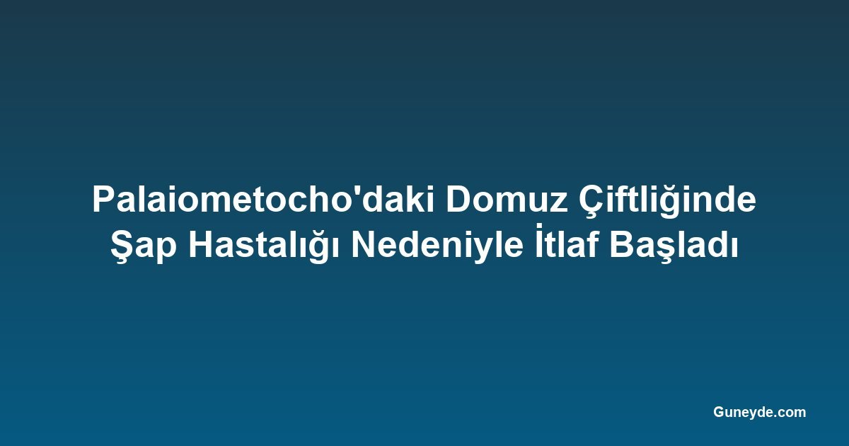 Palaiometocho'daki Domuz Çiftliğinde Şap Hastalığı Nedeniyle İtlaf Başladı