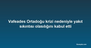 Vafeades Ortadoğu krizi nedeniyle yakıt sıkıntısı olasılığını kabul etti