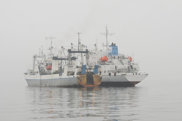 Oceana: Kıbrıs bağlantılı gemiler 'gevşek düzenlemeli' ülkelerde kayıtlı
