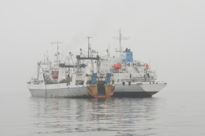 Oceana: Kıbrıs bağlantılı gemiler 'gevşek düzenlemeli' ülkelerde kayıtlı