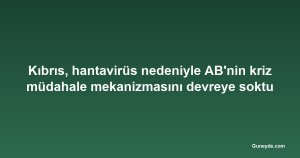Kıbrıs, hantavirüs nedeniyle AB'nin kriz müdahale mekanizmasını devreye soktu