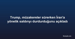 Trump, müzakereler sürerken İran'a yönelik saldırıyı durdurduğunu açıkladı