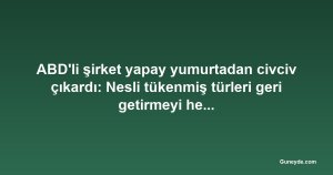 ABD'li şirket yapay yumurtadan civciv çıkardı: Nesli tükenmiş türleri geri getirmeyi hedefliyor