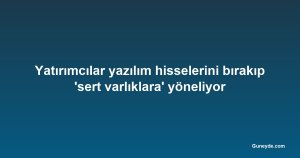 Yatırımcılar yazılım hisselerini bırakıp 'sert varlıklara' yöneliyor
