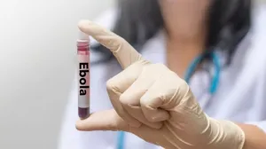 DSÖ, Kongo ve Uganda'daki Ebola salgınını uluslararası boyutta acil sağlık durumu ilan etti