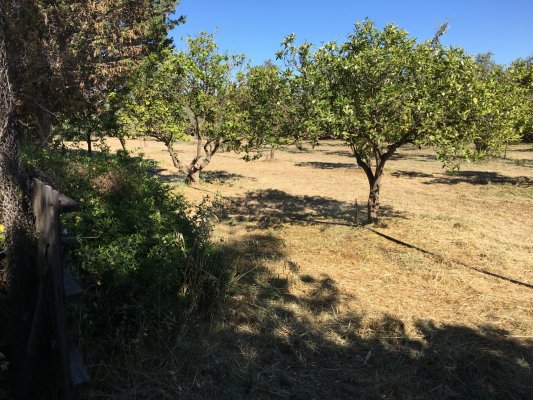 Bugün hava: Sıcak ve güneşli