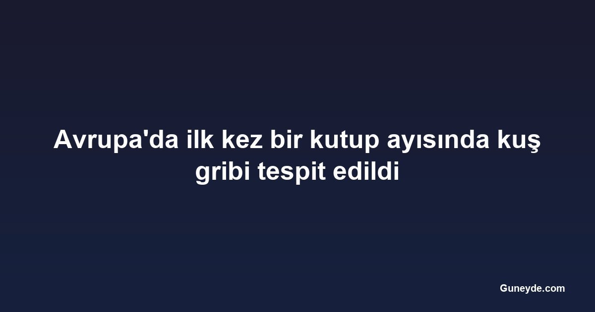 Avrupa'da ilk kez bir kutup ayısında kuş gribi tespit edildi