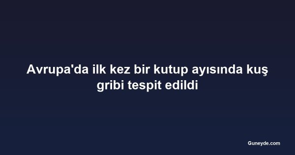 Avrupa'da ilk kez bir kutup ayısında kuş gribi tespit edildi