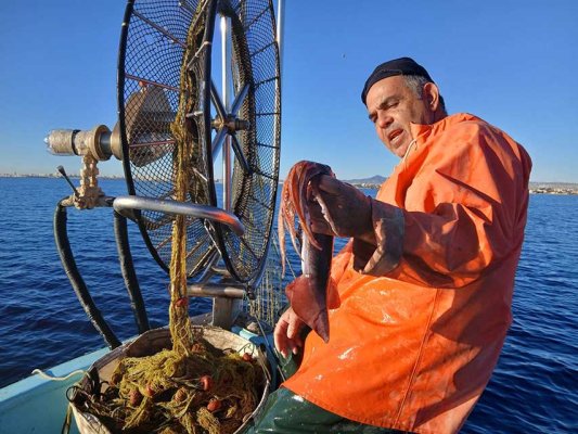 Kıbrıs deniz yaşamını korumak için harekete geçildi