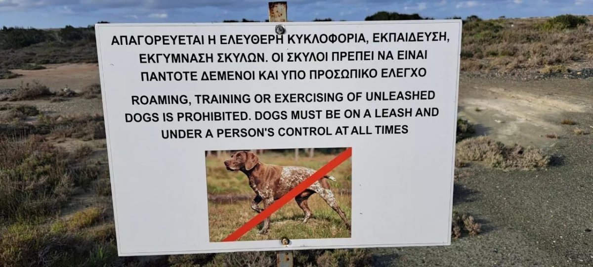 Üs Bölgeleri'nde Yasadışı Av Köpeği Eğitimine Karşı Ortak Operasyon