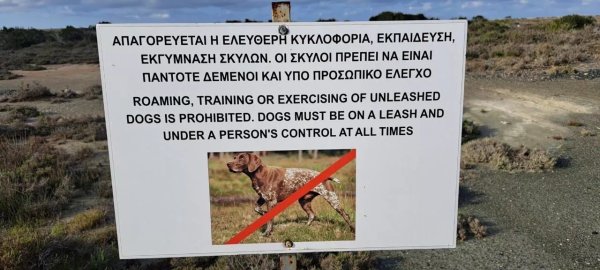 Üs Bölgeleri'nde Yasadışı Av Köpeği Eğitimine Karşı Ortak Operasyon