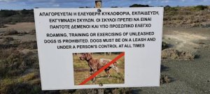 Üs Bölgeleri'nde Yasadışı Av Köpeği Eğitimine Karşı Ortak Operasyon