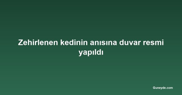 Zehirlenen kedinin anısına duvar resmi yapıldı