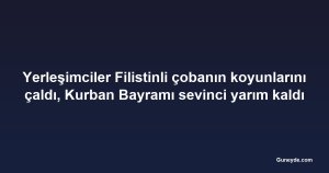 Yerleşimciler Filistinli çobanın koyunlarını çaldı, Kurban Bayramı sevinci yarım kaldı