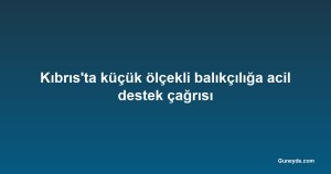 Kıbrıs'ta küçük ölçekli balıkçılığa acil destek çağrısı
