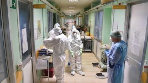 İspanya ve Tristan da Cunha'da iki şüpheli hantavirüs vakası tespit edildi