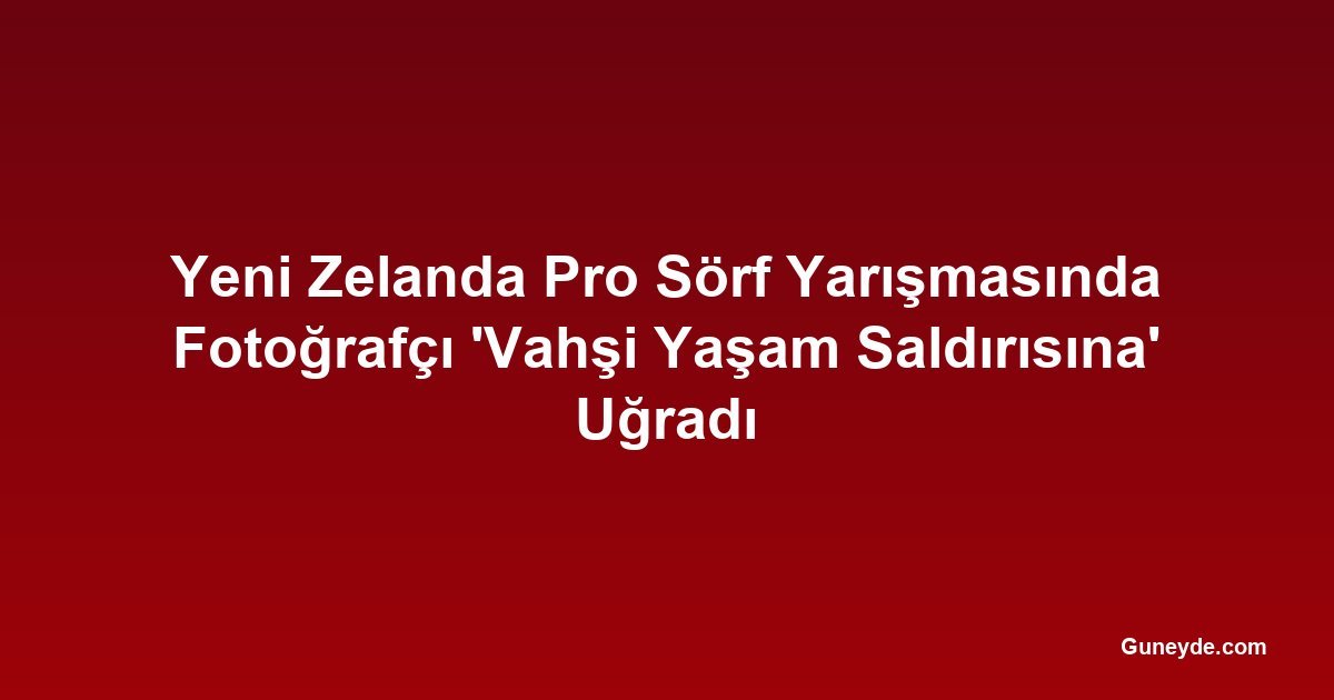 Yeni Zelanda Pro Sörf Yarışmasında Fotoğrafçı 'Vahşi Yaşam Saldırısına' Uğradı