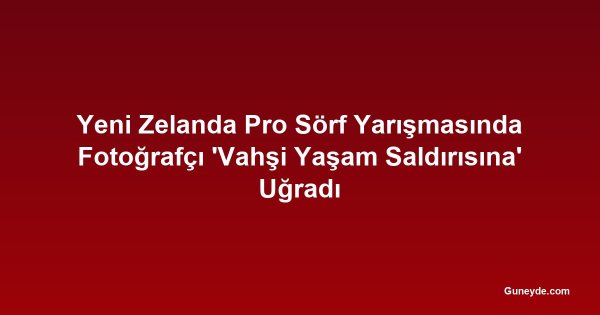 Yeni Zelanda Pro Sörf Yarışmasında Fotoğrafçı 'Vahşi Yaşam Saldırısına' Uğradı