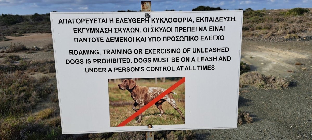 Egemen Üs Bölgeleri'nde yasadışı av köpeği eğitimine karşı operasyonlar yoğunlaştırıldı