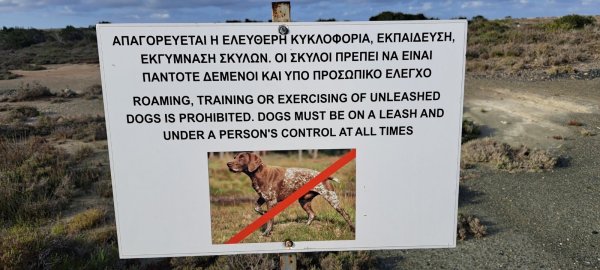 Egemen Üs Bölgeleri'nde yasadışı av köpeği eğitimine karşı operasyonlar yoğunlaştırıldı