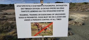 Egemen Üs Bölgeleri'nde yasadışı av köpeği eğitimine karşı operasyonlar yoğunlaştırıldı