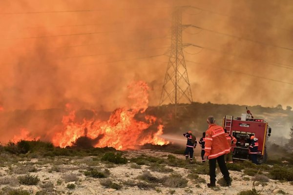 Kıbrıs'tan orman yangınlarına karşı yeni gözetim planı: Termal kameralar, dronlar ve balonlar