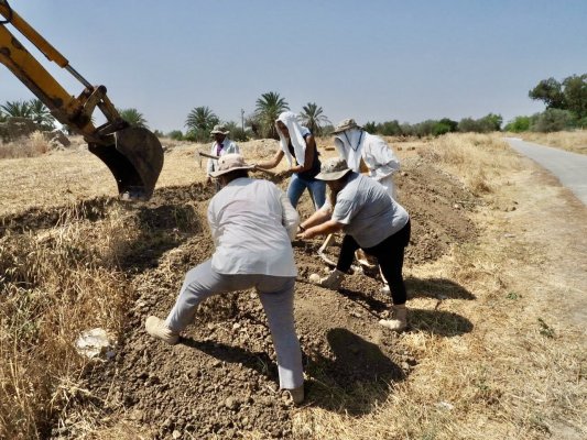 Kayıp Şahıslar Komitesi kazılarda beş kişiyi daha tespit etti
