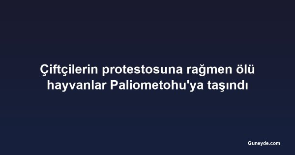Çiftçilerin protestosuna rağmen ölü hayvanlar Paliometohu'ya taşındı