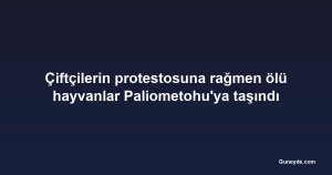 Çiftçilerin protestosuna rağmen ölü hayvanlar Paliometohu'ya taşındı