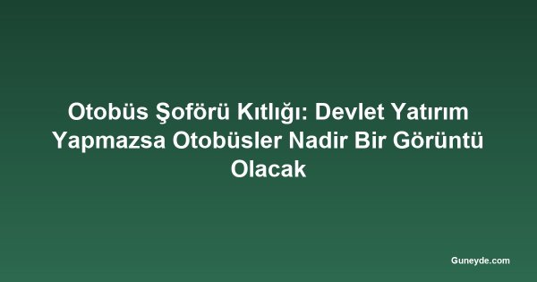 Otobüs Şoförü Kıtlığı: Devlet Yatırım Yapmazsa Otobüsler Nadir Bir Görüntü Olacak