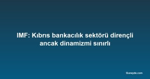 IMF: Kıbrıs bankacılık sektörü dirençli ancak dinamizmi sınırlı
