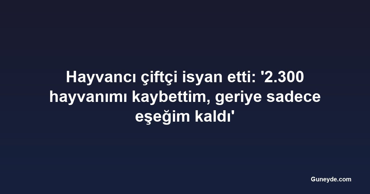 Hayvancı çiftçi isyan etti: '2.300 hayvanımı kaybettim, geriye sadece eşeğim kaldı'