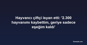 Hayvancı çiftçi isyan etti: '2.300 hayvanımı kaybettim, geriye sadece eşeğim kaldı'