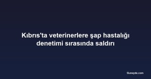Kıbrıs'ta veterinerlere şap hastalığı denetimi sırasında saldırı
