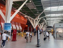 Bavulunda embriyo bulunan adam tutuklandı