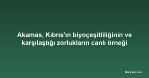 Akamas, Kıbrıs'ın biyoçeşitliliğinin ve karşılaştığı zorlukların canlı örneği
