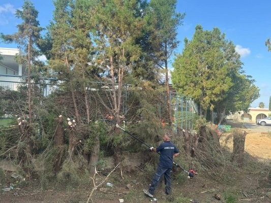Baf Belediyesi Anaokulu Yakınındaki Alanı Temizliyor