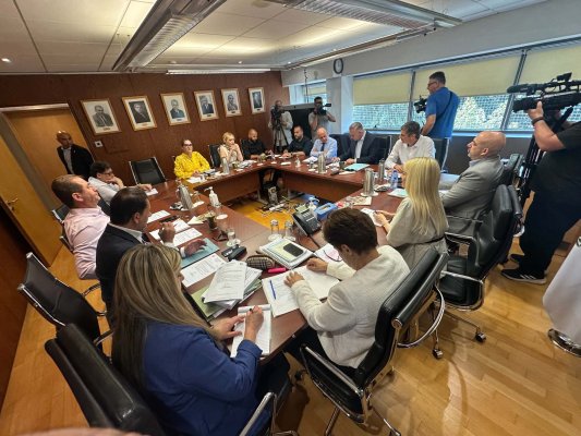 Alma ve Doğrudan Demokrasi partilerine 320'şer bin euro ödenek ve ikişer polis koruması verilecek