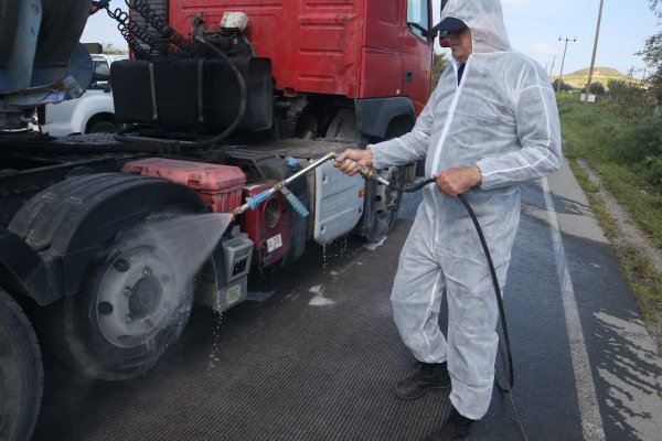 Şap Hastalığında Yeni Vaka Yok, İtlaf İşlemleri Tamamlanmak Üzere