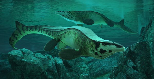 Dinozor Çağının Korkunç Deniz Sürüngeni: Denizlerin T. Rex'i Keşfedildi