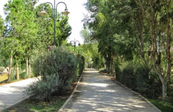 Pedieos Lineer Parkı'na 30 Milyon Euroluk Dev Yenileme: 14 Yaya Köprüsü ve Akıllı Geçişler Geliyor